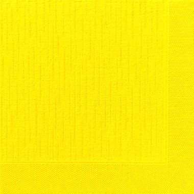 Image de SERV. DUNISOFT BIO 40X40 JAUNE COLIS DE 360