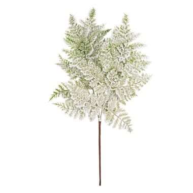 BRANCHE DE SAPIN VERTE ENNEIGEE