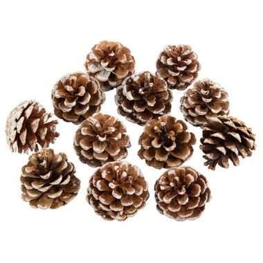 POMMES DE PIN NATUREL ENNEIGES X12