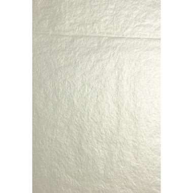 PAPIER SOIE 50/75CM X8 F ARGENT