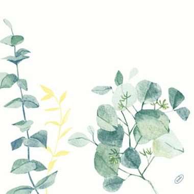 Image de SERV. DUNISOFT 40X40 'SPIRE'