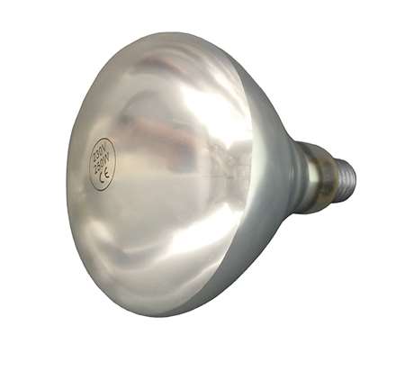 Image de AMPOULE BLANCHE LAMPE CHAUFFANTE