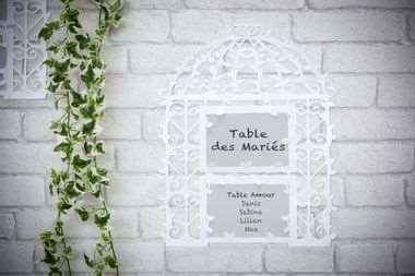 PLAN DE TABLE BLANC 30X40CM CAGE