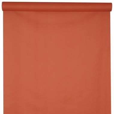 Image de RLX NAPPE 1.20X10M AIRLAID BRIQUE