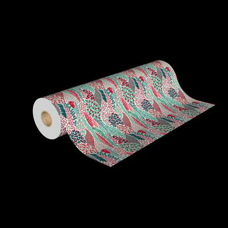 Image de RLX PAPIER 100MX70cm 7470 H