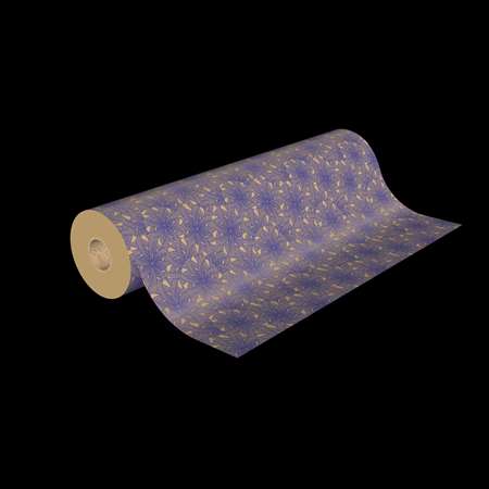 Image de BOBINOT PAPIER 250MX50cm 7286 KL