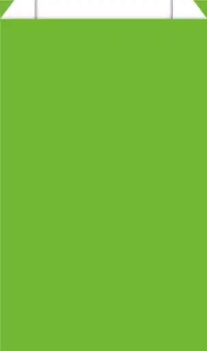 Image de PT 250 SACS CADEAU 07X12 115 N - VERT