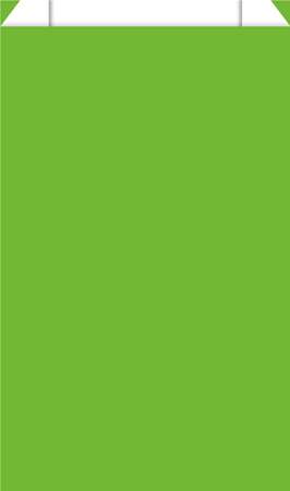Image de PT 250 SACS CADEAU 11X17 115 N - VERT
