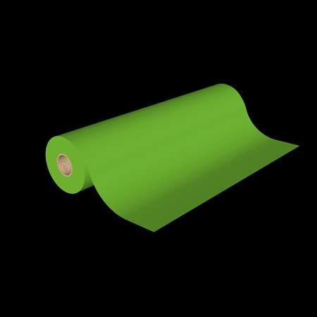 Image de RLX PAPIER 100MX70cm 115 N - VERT
