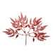 Image de BRANCHES PAILLETTES ROUGE 19 CM X 6