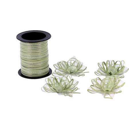 Image de RUBAN ORGANDI VERT SAUGE 10 M + 4 NOEUDS