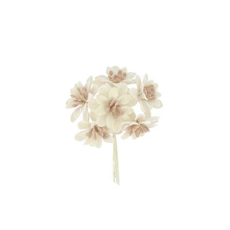 Image de FLEURS POINSETTIA VELOURS IVOIRE X 6