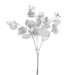 Image de BRANCHE EUCALYPTUS ARGENT 22 CM