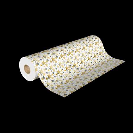 Image de RLX PAPIER 050MX70cm 9266 M