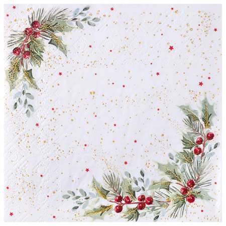 Image de SERVIETTES HOUX ETOILE X 10