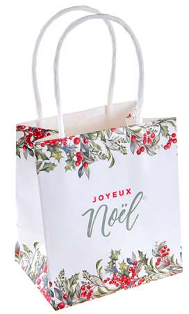 Image de SACS NOEL HOUX MULTICOLOR X 4