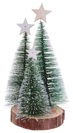 Image de SAPINS ENNEIGES SUR RONDIN  X 3