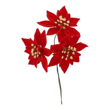 Image de POINSETTIAS VELOURS ROUGE X 3