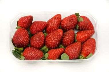 Image de CAISSETTE PRIMEUR 250 grs P.E.T