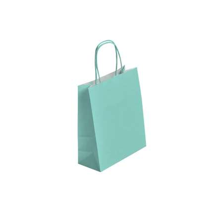 Image de CABAS P.FICELLE 18+08X22 VERT D'EAU