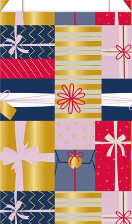 Image de PT 250 SACS CADEAU 16+8X27 7186 H