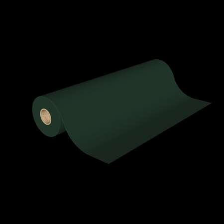 Image de RLX PAPIER 100MX70cm 08 K - VERT SAPIN
