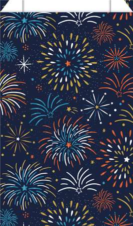 Image de PT 250 SACS CADEAU 16+8X27 7206 H