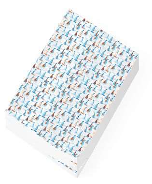 Image de RLX PAPIER 100MX70cm 'BATEAU VENDEE'