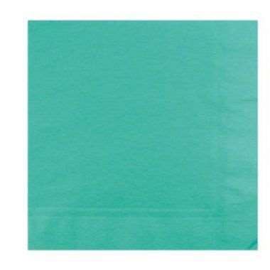Image de SERVIETTE 39X39 2F VERT LUMIERE