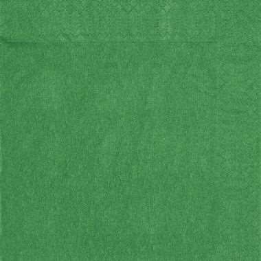 Image de SERVIETTE 39X39 2F VERT SAPIN
