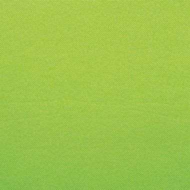 Image de SERVIETTE 30X39 2F PISTACHE