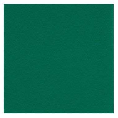 Image de RLX CELISOFT 1.20X25M UNI VERT SAPIN