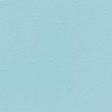 Image de SERV. DUNISOFT BIO 40X40 MENTHE BLEUE