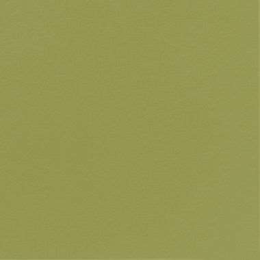 Image de SERV. DUNISOFT BIO 40X40 VERT FEUILLE