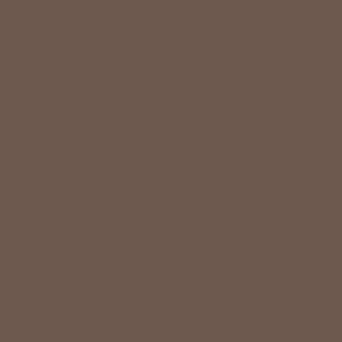 Image de SERV. DUNISOFT BIO 40X40 NOISETTE