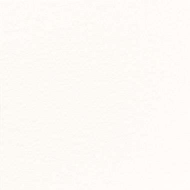 Image de SERV. DUNISOFT BIO 40X40 BLANCHE