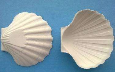 Image de COQUILLE ST JACQUES MINERALE