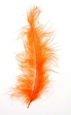 PLUMES SACHET DE 5 GR ORANGE