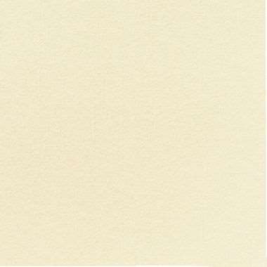 Image de SERVIETTE BIO DUNISOFT 40/40 CREME COLIS DE 360