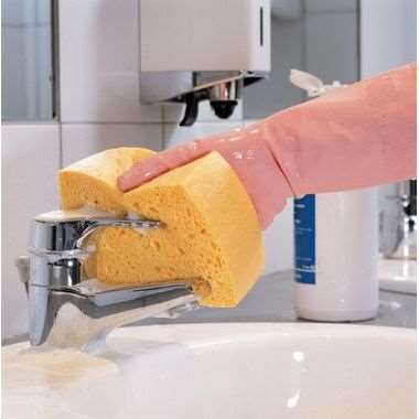 Image de EPONGE HUMIDE N.8 - 159X120X40mm