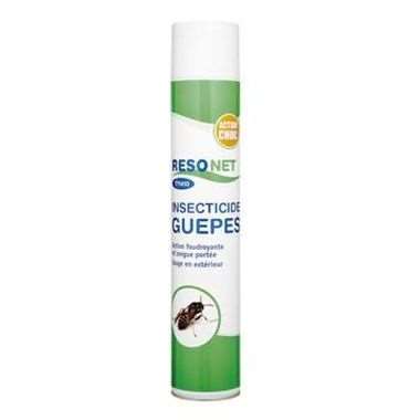 Image de AEROSOL GUEPES/ FRELONS SURPUISSANT 750 ml