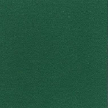 Image de SERV. DUNISOFT BIO 40X40 VERT FONCE