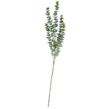 Image de BRANCHE D'EUCALYPTUS VERT 83 CM